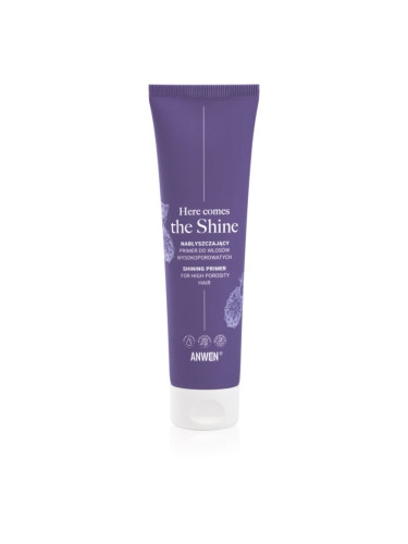 Anwen Here Comes The Shine Shining Primer For High Porosity Hair основа За коса 100 мл.