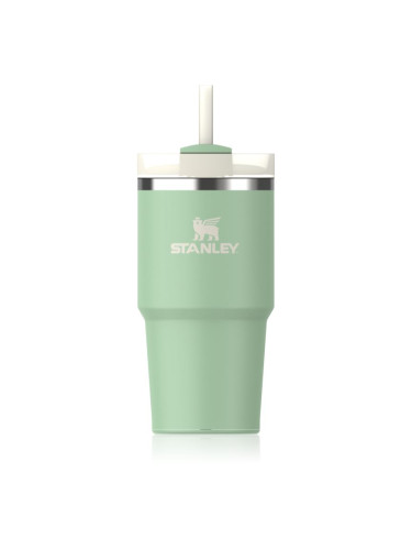 Stanley Quencher H2.O FlowState™ Tumbler неръждаема термочаша със сламка малък Pistachio 600 мл.