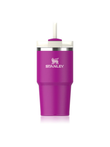 Stanley Quencher H2.O FlowState™ Tumbler неръждаема термочаша със сламка малък Violet Blossom 600 мл.