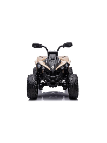 Акумулаторна кола Licensed Can AM Renegade ATV