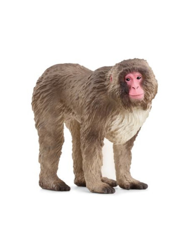 ЯПОНСКИ МАКАК 14871-78945