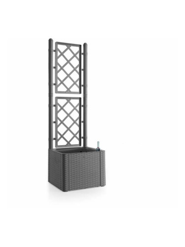 Саксия Stefanplast Deluxe 43 x 43 x 142 cm Сив