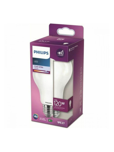 LED лампа Philips Bombilla D 120 W (4000 K)