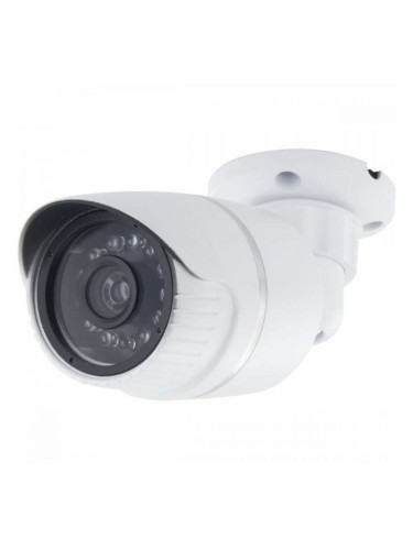 Симулирана камера за наблюдение Chacon