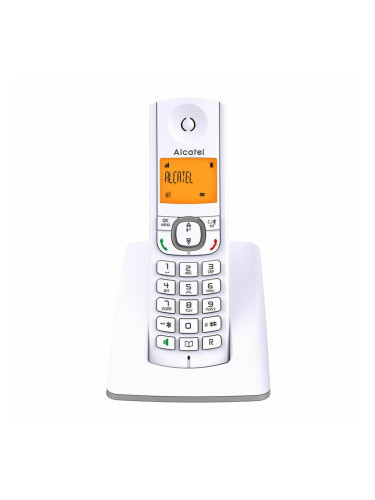 Безжичен телефон Alcatel F530SG Сив Бял/Сив