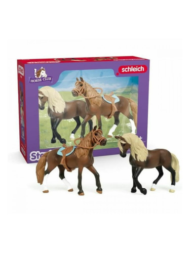 Playset Schleich Horse Club