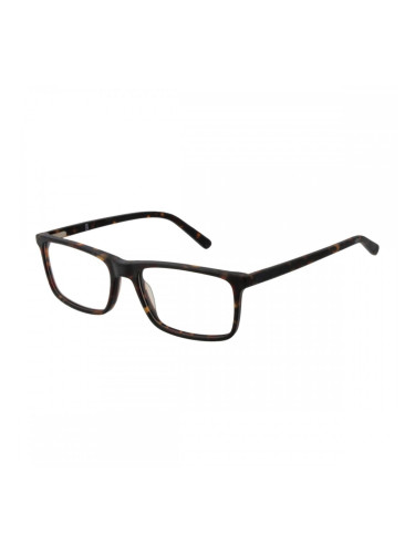 Мъжки Рамка за очила OK Eyewear OK1704 55331