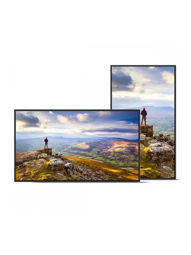 Монитор Videowall Sharp 60006181 4K Ultra HD 43"