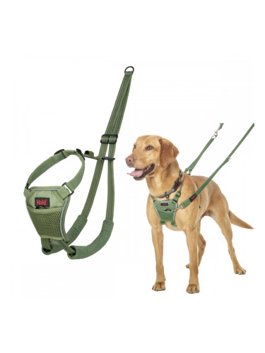 Каишка за Куче Company of Animals FOREST Зелен 12