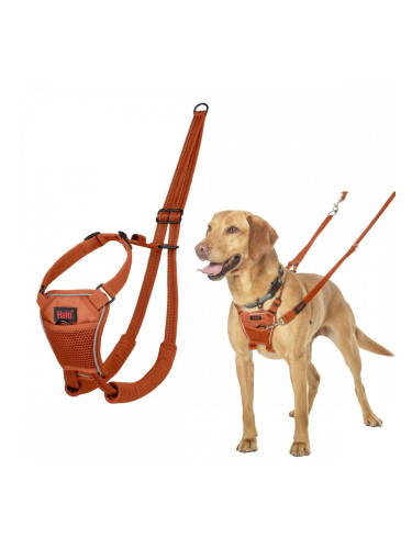 Каишка за Куче Company of Animals BURNT Оранжев 12