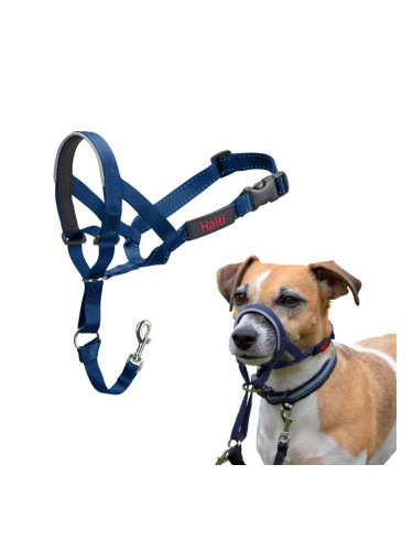 Муцуна Company of Animals COBALT Син Размер 1