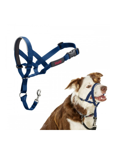 Муцуна Company of Animals COBALT Син 2