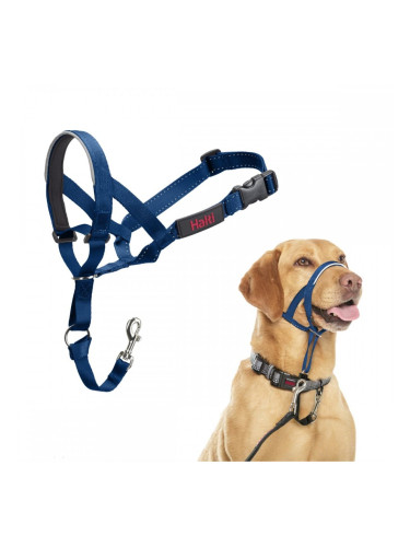 Муцуна Company of Animals COBALT Син 3