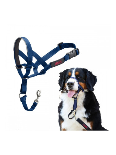 Муцуна Company of Animals COBALT Син 4