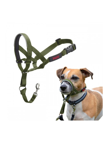 Муцуна Company of Animals FOREST Зелен Размер 1