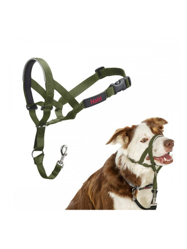 Муцуна Company of Animals FOREST Зелен 2