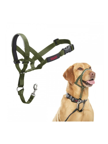 Муцуна Company of Animals FOREST Зелен 3