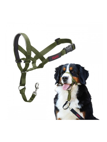 Муцуна Company of Animals FOREST Зелен 4