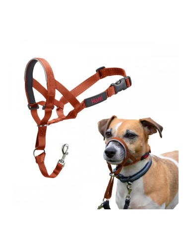 Муцуна Company of Animals BURNT Оранжев Размер 1