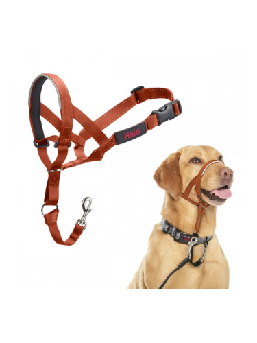 Муцуна Company of Animals BURNT Оранжев 3