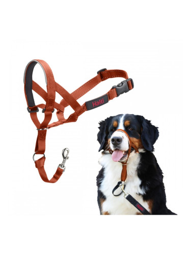 Муцуна Company of Animals BURNT Оранжев 4