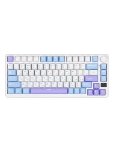 Гейминг клавиатура ROYAL KLUDGE RK-M75 Taro Milk Gaming Keyboard K Silver switch RK-M75-TAROMLK-KSLVSW-US RK-M75-TAROMLK-KSLVSW-US