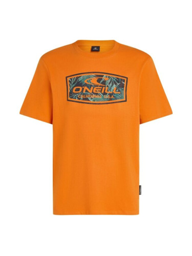 O'Neill GRAPHIC Мъжка тениска, оранжево, размер