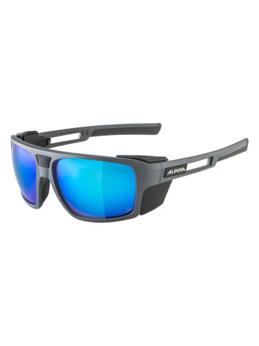 Alpina Sports SKYWALSH Q Слънчеви очила, тъмносиво, размер