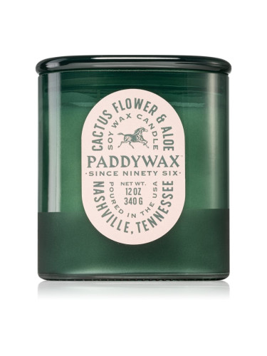 Paddywax Vista Cactus Flower & Aloe ароматна свещ 340 гр.