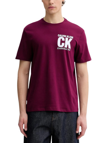 Мъжка тениска с къс ръкав Calvin Klein
