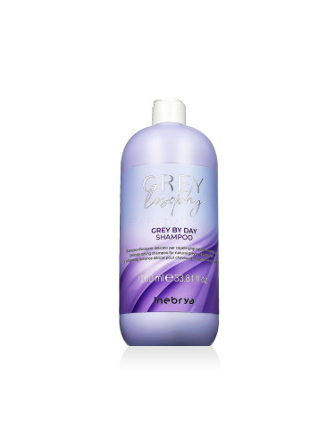 Inebrya GREYlosophy Grey By Day Shampoo Шампоан 1000 ml