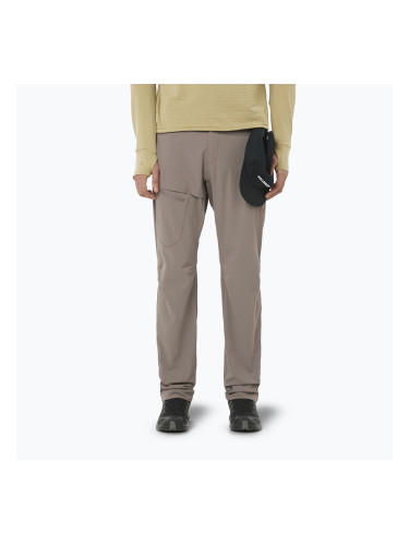 Мъжки панталони за трекинг Salomon Wayfarer iron