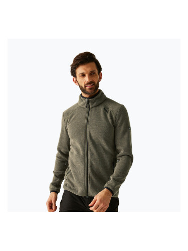 Мъжки поларен суитшърт REGATTA Torrens olive night