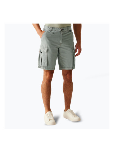 Мъжки шорти за трекинг REGATTA Shorebay II storm grey