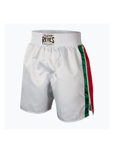 Мъжки боксови шорти Cleto Reyes Satin white/green/red
