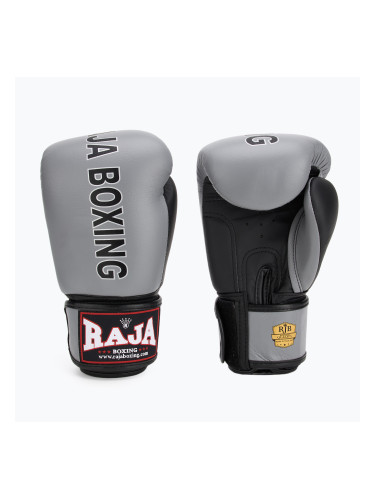Ръкавици RAJA BOXING "Porshe Design".