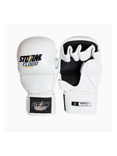 Ръкавици за граплинг StormCloud Hurricane white/black