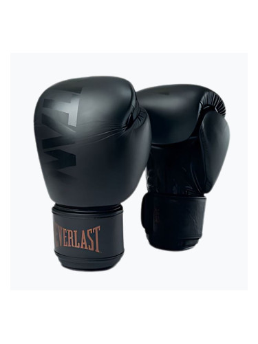 Боксови ръкавици Everlast Muay Thai – TITAN black