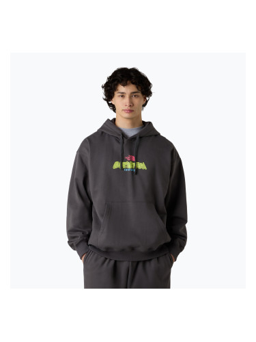 Мъжки суитшърт The North Face Expedition Celebration Oversized Hoodie anthracite grey