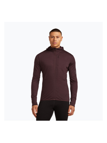 Мъжки суитшърт за трекинг Icebreaker Merino 200 RealFleece Descender Zip Hoodie java