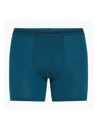 Мъжки боксерки за плуване icebreaker Anatomica atlantis