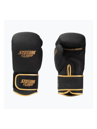 Боксови ръкавици StormCloud Boxing Pro black/gold