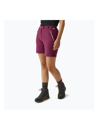 Дамски къси панталони за трекинг REGATTA Mountain II beaujolais