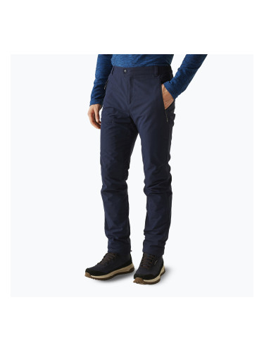 Мъжки панталони за трекинг REGATTA Highton Winter navy