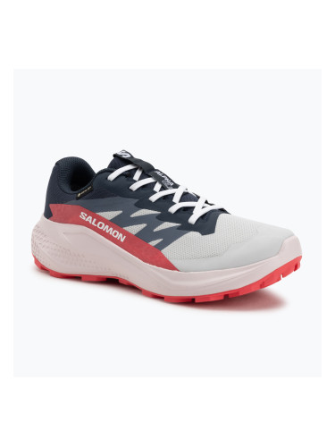 Дамски обувки за бягане Salomon Alphaglide GTX lunar rock/blue night/rouge red