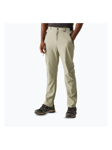 Мъжки панталони за трекинг REGATTA Travel Light Packaway golden sand