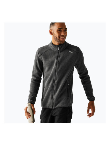 Мъжки поларен суитшърт REGATTA Torrens black