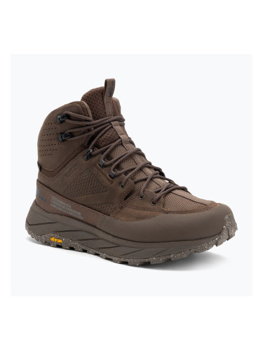 Мъжки обувки за трекинг Jack Wolfskin Terraquest Texapore Mid bear
