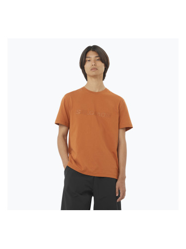 Мъжка тениска Salomon Big Logo Sierra