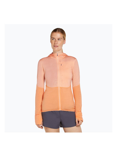 Icebreaker дамски суитшърт за трекинг Merino 200 Realfleece Descender Zip Hoodie sunstone/feldspar
